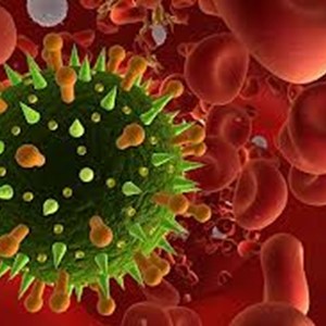 Wirus Brodawczaka Ludzkiego HPV (papilloma virus)